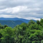 From Atlanta: Half-Day or Full-Day Wine Country Tasting Trip - A Detailed Look at the Experience