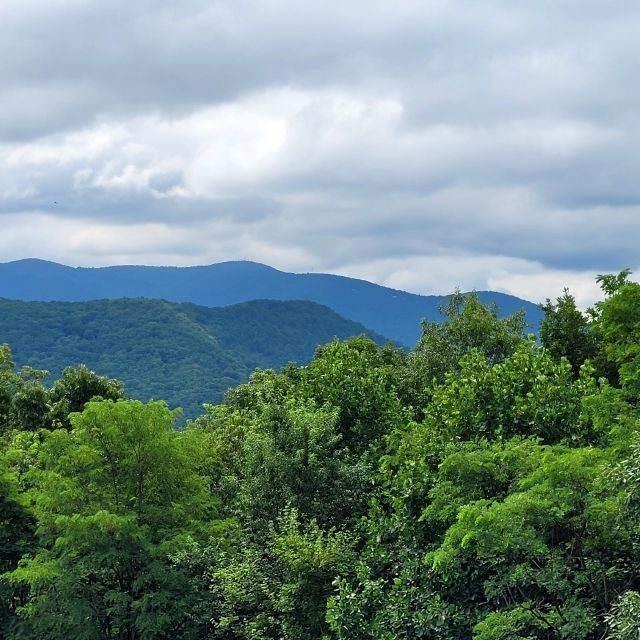 From Atlanta: Half-Day or Full-Day Wine Country Tasting Trip - A Detailed Look at the Experience