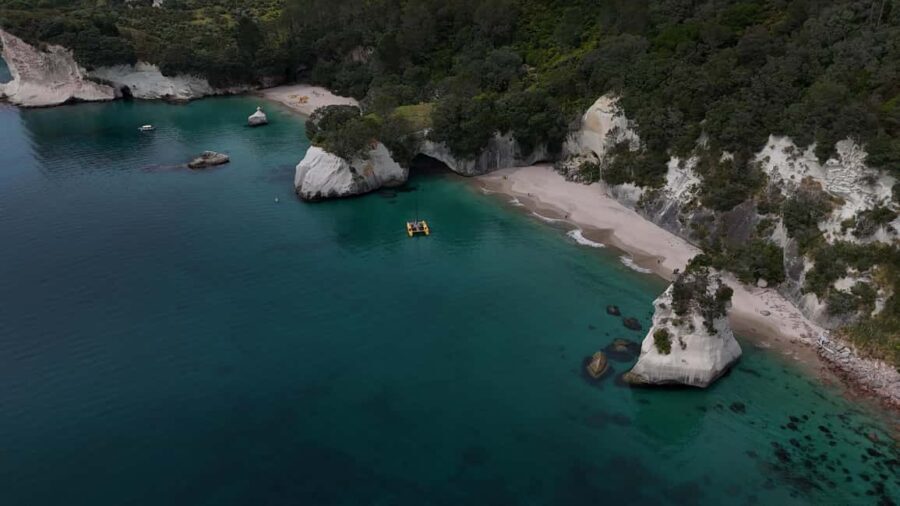 From Auckland: ALDERMAN ISLANDS (Ruamaahu) Day Trip - FAQs