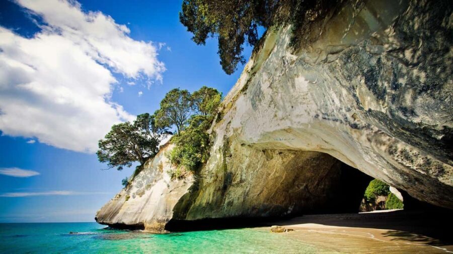 From Auckland: Cathedral Cove & Hot Water Beach Tour - What Makes This Tour Stand Out?