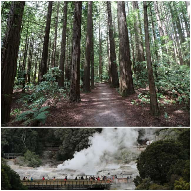 From Auckland: Day Trip to Rotorua with Optional extras - In-Depth Review of the Rotorua Day Trip from Auckland