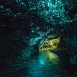 From Auckland: Day Trip to Waitomo Glow Worm Caves - The Value of This Tour