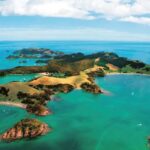 From Auckland: Full-Day Tour to the Bay of Islands - What the Reviews Say