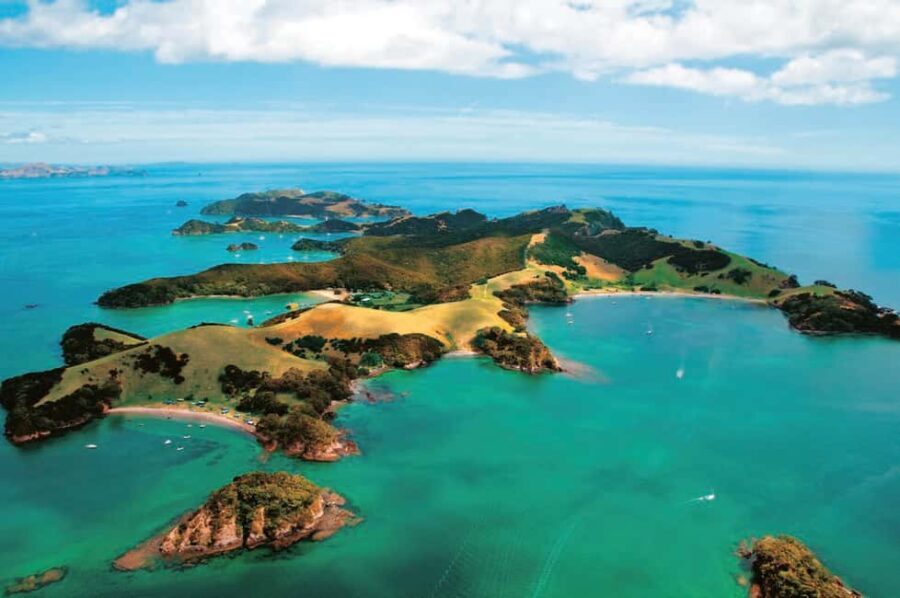 From Auckland: Full-Day Tour to the Bay of Islands - What the Reviews Say