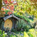 From Auckland: Hobbiton and Waitomo Day Tour with Lunch - A Detailed Look at the Experience