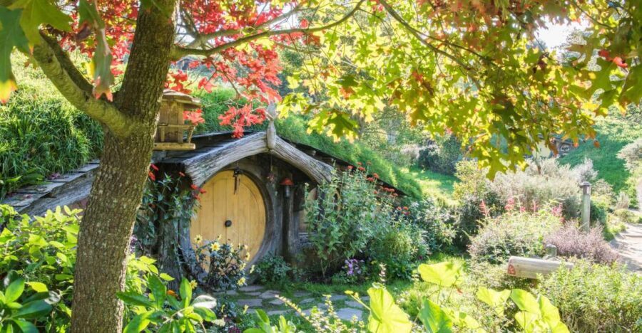 From Auckland: Hobbiton and Waitomo Day Tour with Lunch - A Detailed Look at the Experience