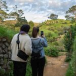 From Auckland: Hobbiton Movie Set Trip with Guided Tour - What Makes This Tour Stand Out