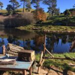From Auckland: Hobbiton Private Transfers with Group Tour - The Value of the Experience