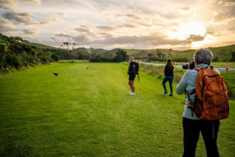 From Auckland: Kiwi Bird Encounter & 3-Course Dinner Tour - A Deep Dive into the Experience