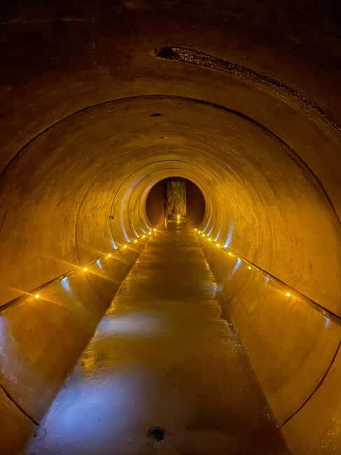 From Auckland: Waitomo Caves and Kiwi House Group Tour - A Deep Dive into the Experience