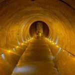 From Auckland: Waitomo Caves and Kiwi House Small Group Tour - A Cozy Lunch and a Chance to Recharge