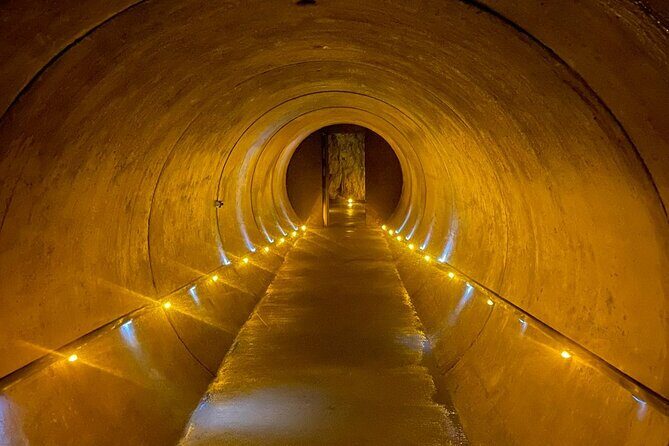 From Auckland: Waitomo Caves and Kiwi House Small Group Tour - A Cozy Lunch and a Chance to Recharge