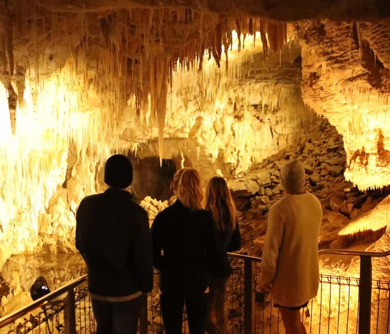 From Auckland: Waitomo Glow Worm Caves & Rotorua Tour - Continuing to Rotorua: Geothermal Marvels and Maori Culture