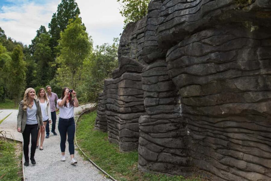 From Auckland: Waitomo Glowworm and Ruakuri Caves Day Tour - The Practicalities: What’s Included and What to Consider