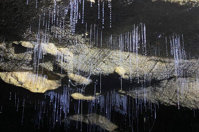 From Auckland: Waitomo Glowworm & Cave Explorer Small Group Tour - The Experience in Detail