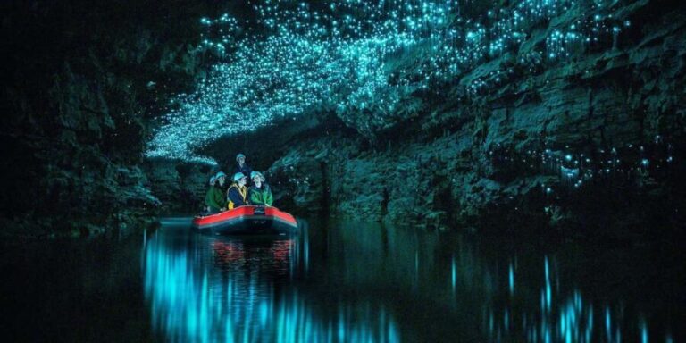 From Auckland: Waitomo Glowworm Cave Tour - Final Thoughts