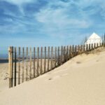 From Aveiro: Barra Beach Lighthouse & Costa Nova Guided Tour - Who Will Enjoy This Tour?