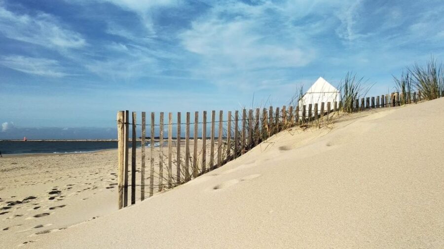 From Aveiro: Barra Beach Lighthouse & Costa Nova Guided Tour - Who Will Enjoy This Tour?