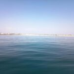 From Aveiro to the Beaches by Boat - Why This Tour Matters to You