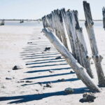 From Avignon: Camargue Tour with Pont de Gau Bird Park Entry - Practical Details and What to Expect