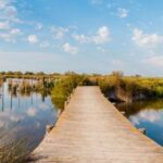 From Avignon: Half-Day Camargue and Saintes-Maries-de-la-Mer - Who Should Consider This Tour?