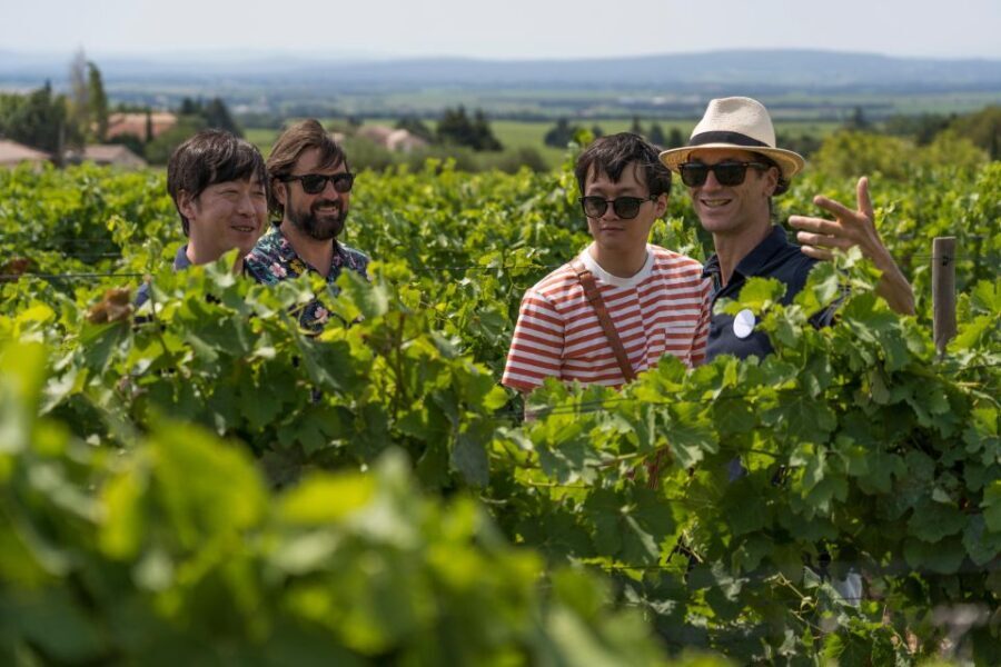 From Avignon: Luberon and Chateauneuf-du-Pape Full-Day Tour - An In-Depth Look at the Tour Experience