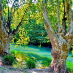 From Avignon: Provence Highlights Full-Day Tour - Practicalities and What It Means for You