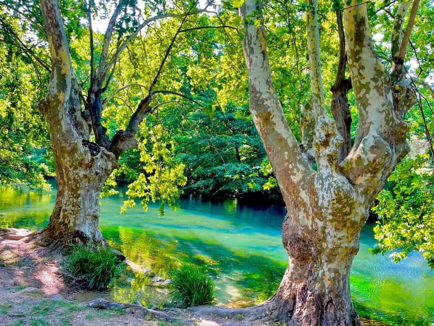 From Avignon: Provence Highlights Full-Day Tour - Practicalities and What It Means for You