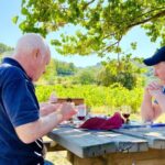 From Avignon: Roman Tour to Pont du Gard, Nîmes & Orange - Who Is This Tour Best For?