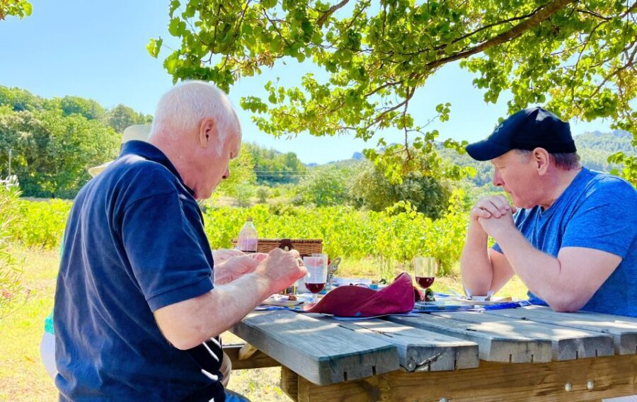 From Avignon: Roman Tour to Pont du Gard, Nîmes & Orange - Who Is This Tour Best For?