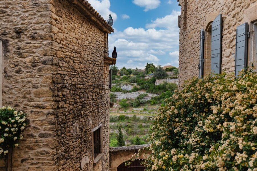From Avignon: Villages in Luberon Half-Day Tour - The Value of a Short Provence Escape