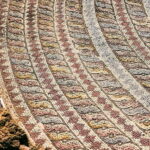 From Ayia Napa/Protaras/Larnaca: Paphos & Kourion in Italian - Exploring Kourion: An Ancient Marvel