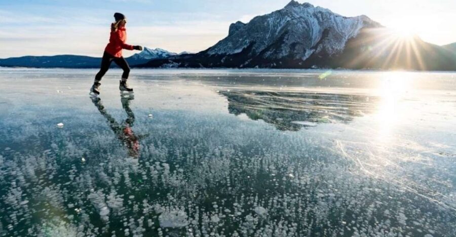 From Banff: Icefields Parkway & Abraham Lake Ice Bubbles - An In-Depth Look at the Tour Experience