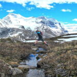 From Banff/Lake Louise: 1-Way Sightseeing Tour to Jasper - Who Should Consider This Tour?