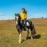 From Bansko: Horse Riding Experience - The Starting Point: Ski & Board Traventuria