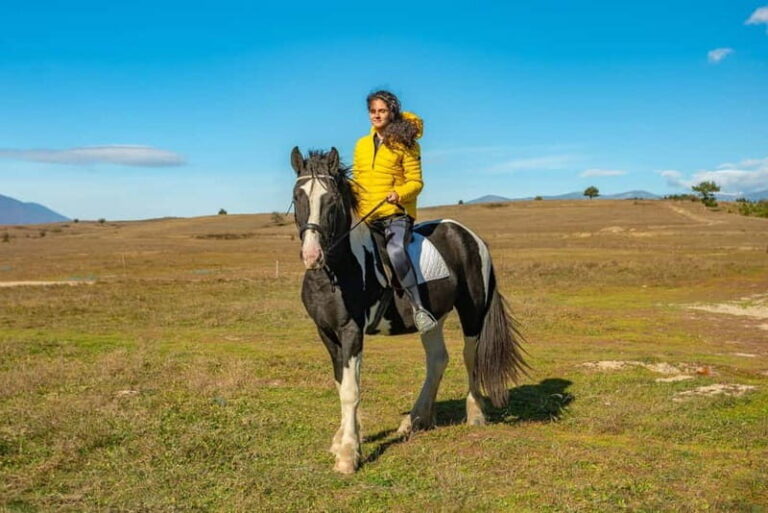 From Bansko: Horse Riding Experience - The Starting Point: Ski & Board Traventuria