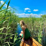 From Bar: Skadar Lake Land and Boat Tour - Who Would Love This Tour?