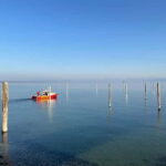 From Basel: 4 Countries and Lake Bodensee Private Car Tour - Why This Tour Offers Great Value