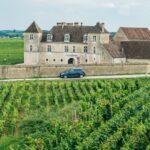 From Beaune: Burgundy Day Trip with 14 Wine Tastings - The Experience in Detail