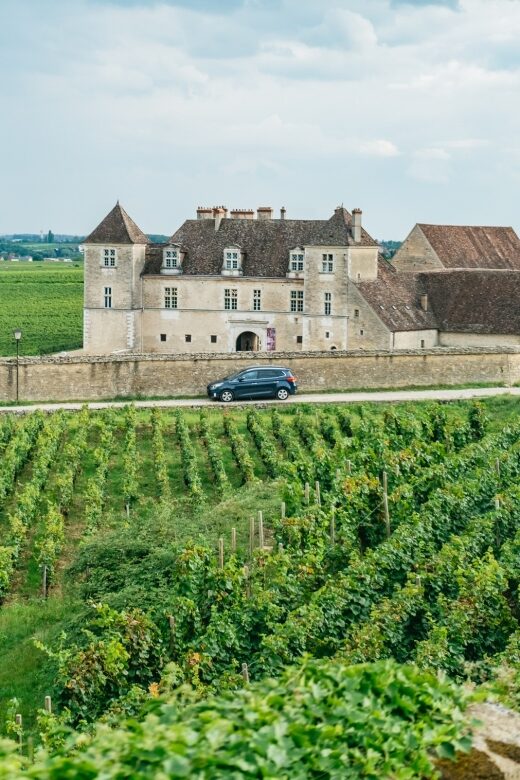 From Beaune: Burgundy Day Trip with 14 Wine Tastings - The Experience in Detail