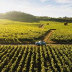 From Beaune: Burgundy Grands Crus Road Tour in a Classic Car - Who Would Love This Tour?