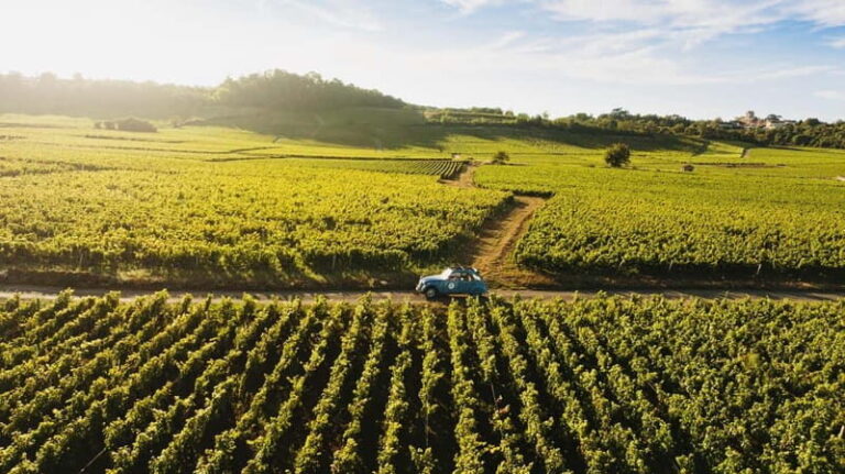 From Beaune: Burgundy Grands Crus Road Tour in a Classic Car - Who Would Love This Tour?