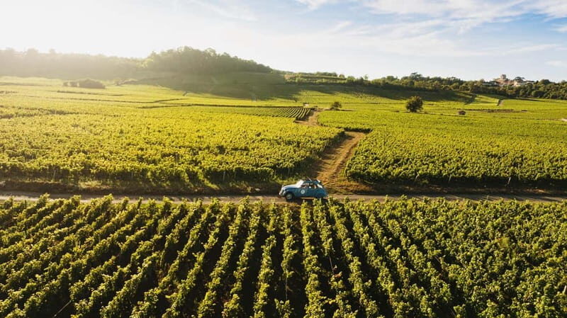 From Beaune: Burgundy Grands Crus Road Tour in a Classic Car - Who Would Love This Tour?