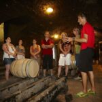 From Beaune: Full-Day Bicycle and Wine Tour in Burgundy - Who Will Love This Tour?