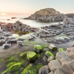 From Belfast: Giants Causeway and Game of Thrones Day Tour - What Makes This Tour Stand Out?