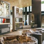 From Belfast: Giant's Causeway Full-Day Guided Trip - Why This Tour Offers Great Value