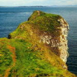 From Belfast: Giants Causeway Full-Day Private Guided Tour - A Deep Dive into the Northern Ireland Coast and Its Treasures