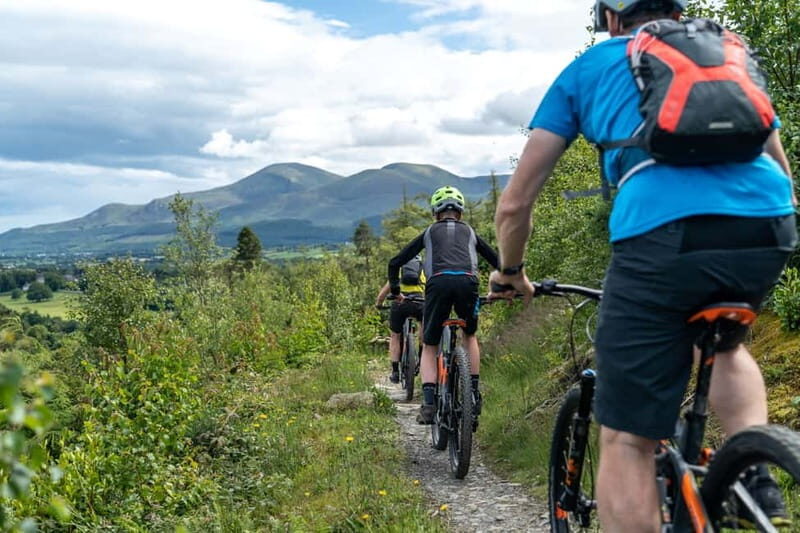 From Belfast: Mountain Bike Experience - Exploring Castlewellan Forest Park’s Trails