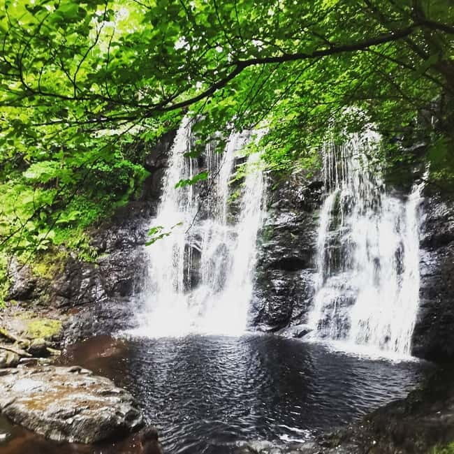 From Belfast: Private Tour of the Glens & Giants Causeway - The Sum Up