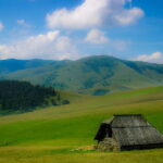 From Belgrade: Full-Day Guided Tour of Zlatibor Mountain - What’s Included and What to Consider